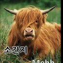 듬뿍하우스 이미지