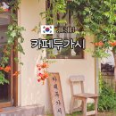 제주유유자적 | 서귀포 카페 두가시 제주 구옥 감성 케이크 맛집 (능소화·배롱나무 포토존)