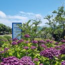 안덕산방도서관 이미지