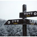 바람개비 이미지