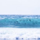 민속자연사박물관 이미지