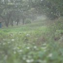 요미야미 이미지