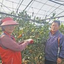 박상순농장 이미지