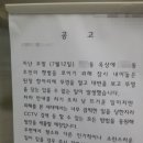 씨펄 Daum카페