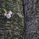 구룡사 앞 교차로 이미지