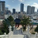 해운정사