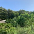 기안.당촌 이미지