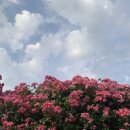 이마트24 양평선유도 이미지