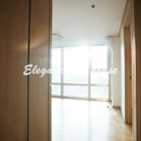 서초레몬 이미지