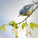 공설운동장(북편) 이미지