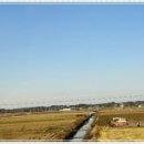 파란하늘약국 이미지