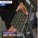 디엠디(DMD)