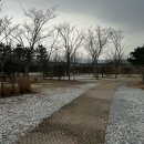 342 camp 이미지
