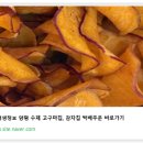 별똥밭