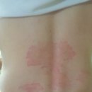 정있는 식품 이미지