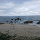 다온 행정사 이미지