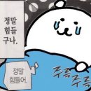 2월을 보내주며... (사실 못 보내줌)