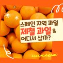 스페인 과일 지도! 바르셀로나에서 사먹은 제철과일! (ft.복숭아, 오렌지, 멜론, 사과)
