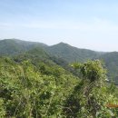 운림교 Daum카페