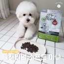 참소프트 | 강아지 반습식사료 플래티넘 소프트 미니, 편식쟁이 비숑 급여 후기