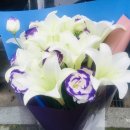 화비꽃방 이미지