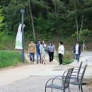 순종아구랑동태찜 이미지