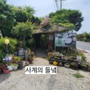 사계의들녘 이미지