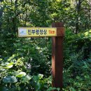 진부령농원