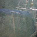 둔포3리 마을회관 이미지