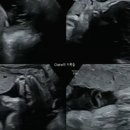 미즈산부인과의원 이미지