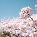 완산공원(정상) | 전주 완산칠봉꽃동산 겹벚꽃 개화시기 맞춰 다녀온 환상적인 핑크빛 나들이 후기