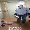 (주)씨에스코리아 오산시민신문
