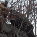 국립공원관리사무소 이미지