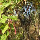 놀부농장 이미지