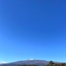 라신비 | 제주 혼자여행 2박3일 코스 총정리｜전기차 렌트부터 동백꽃·오션뷰 숙소까지 감성 루트