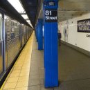 자연사박물관 정문 앞 이미지