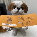 스무해 동물병원 이미지