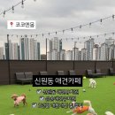 코코앤몽 이미지