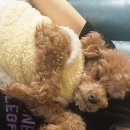 몽개몽개 이미지