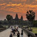 세왕농장 | 프놈펜관 씨엠립 주말여행 자유롭고 안전하게 다니려면 어떻게 할까요? 앙코르와트 유적지문화탐방에...