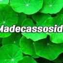 (주)우리생약 이미지