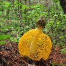 용강목장2 이미지