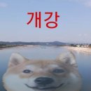 짐247