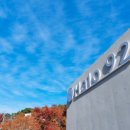 헤일로92 이미지