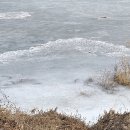 두물머리 약국 이미지