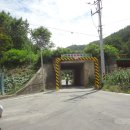 새덕산목장 네이버블로그