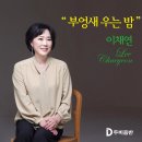 부엉새 우는 밤 / 이채연 이미지