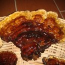 장수버섯 이미지