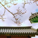 금강교옆 공원 이미지