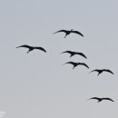 천상의 보금자리 이미지